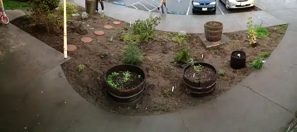  Figure-2: Redwood Coast Montessori School Entrance Garden