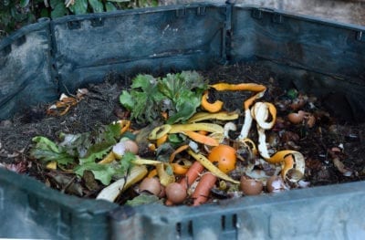 drunken composting