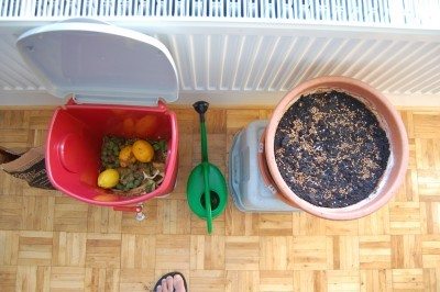 indoor compost
