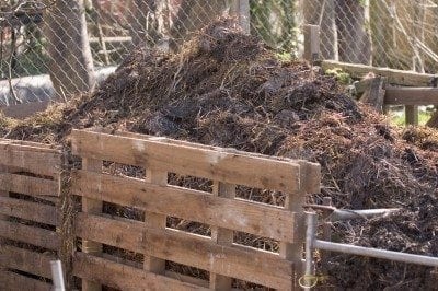 compost pile