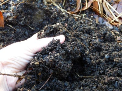 soil