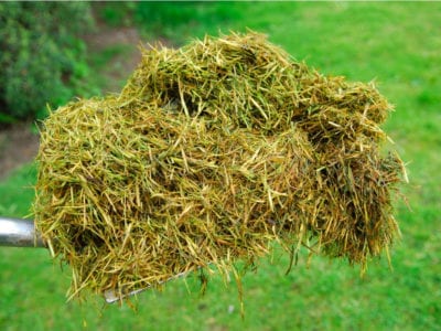 grass compost