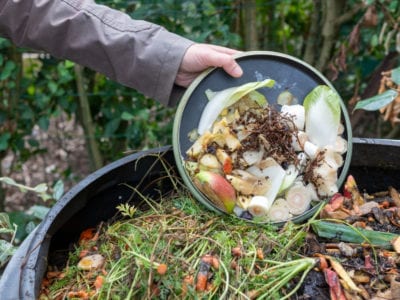 compost kitchen waste