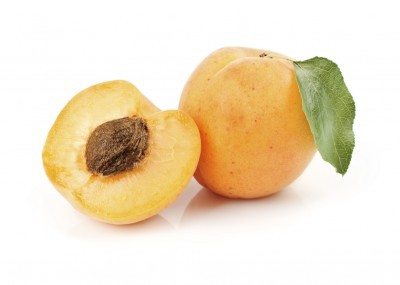 apricot pit