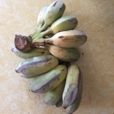 thai bananas