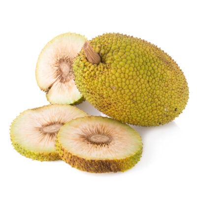 breadfruit seed
