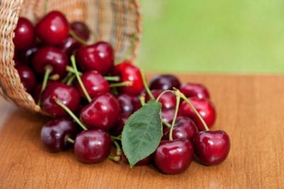 Chelan Cherry