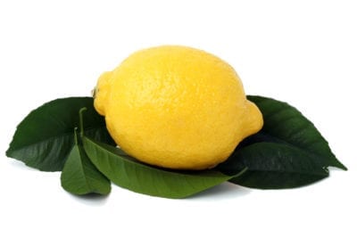 lemon leaves