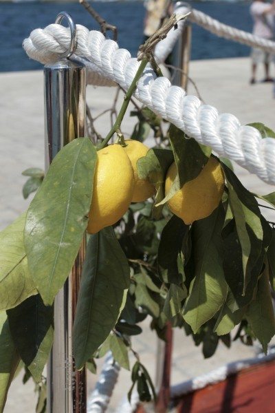 lemons by sea