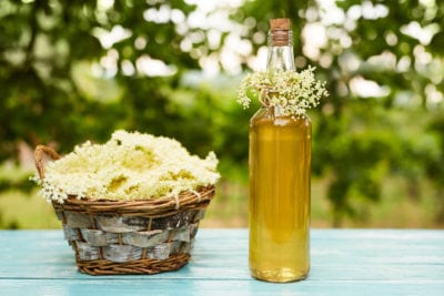 elderflower use