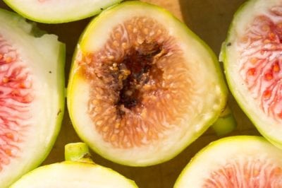 fig rot