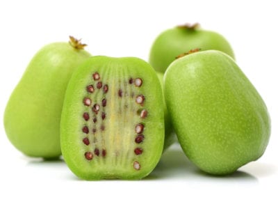 kiwi 1