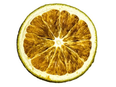 slice of dried lime