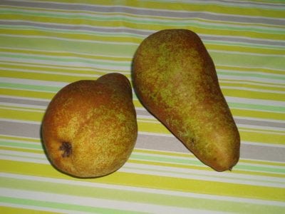 Concorde pear