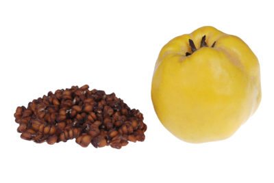 quince seed