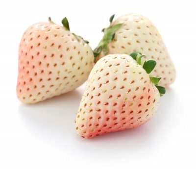 white strawberries