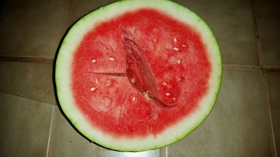 hollow watermelon2