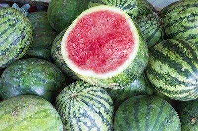seedless watermelon