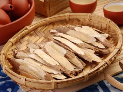 Astragalus