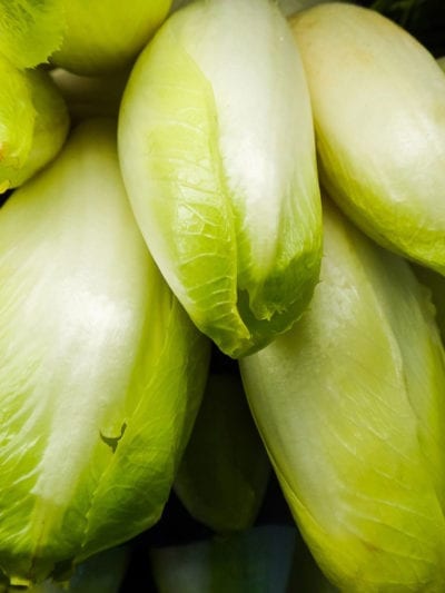 Belgian endive