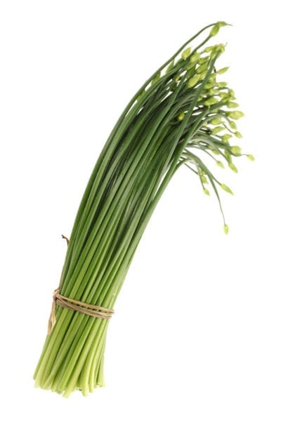 garlic chives