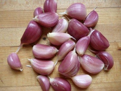 garlic cloves1