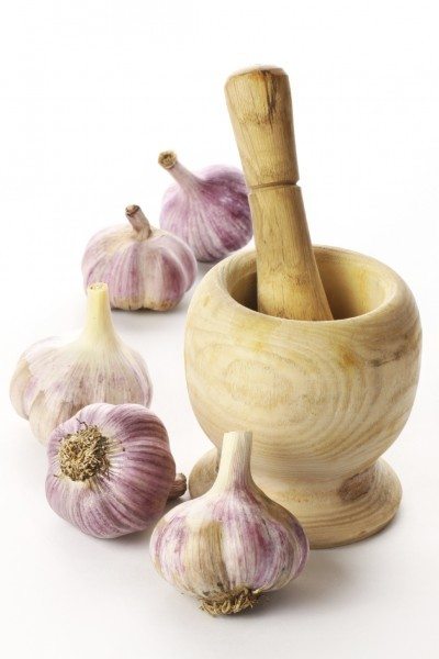 garlic pests