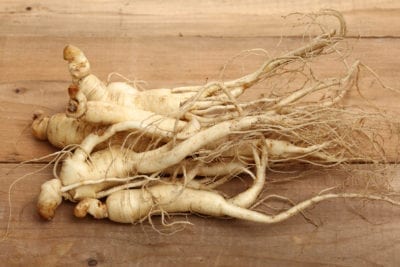 ginseng law