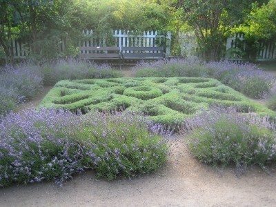 knot herb garden