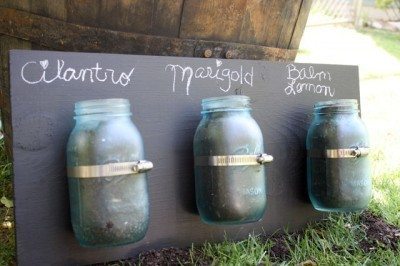 mason jar herbs