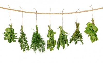 hanging herbs1