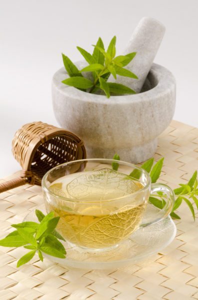 lemon verbena tea