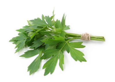 lovage benefits