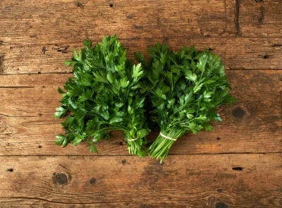 giant parsley
