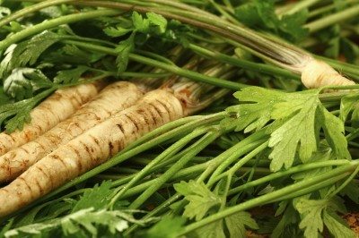 parsley root