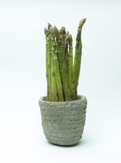 asparagus pot