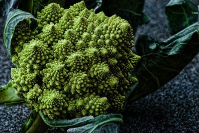 romanesco broccoli1