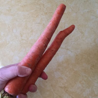 danvers carrots e1501593837368