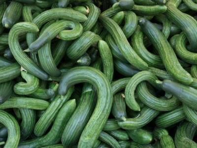curly cucumber