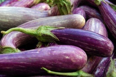 eggplants