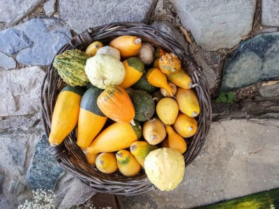 gourds
