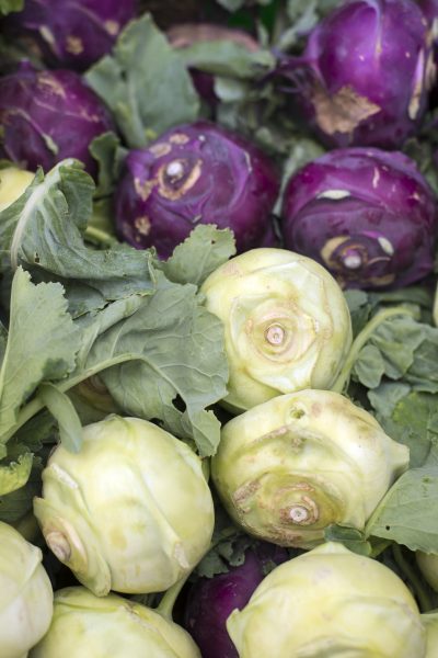 kohlrabi variety