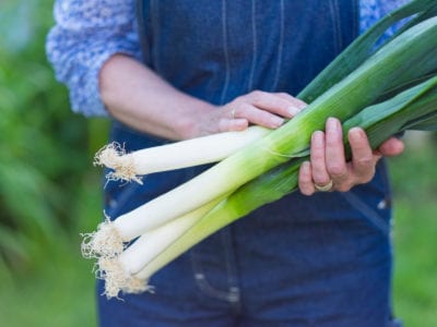 woman holding fresh leeks