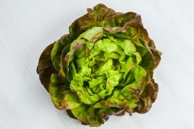 pirat lettuce