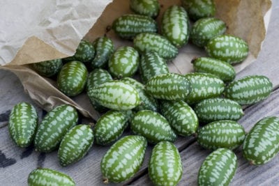 cucamelons