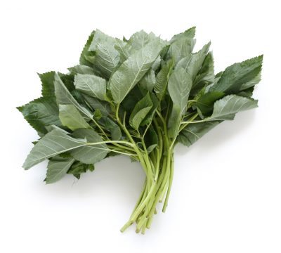 egyptain spinach