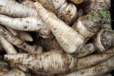winter parsnips 1