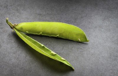 empty pea pod