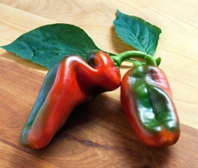 italian frying pepper 1