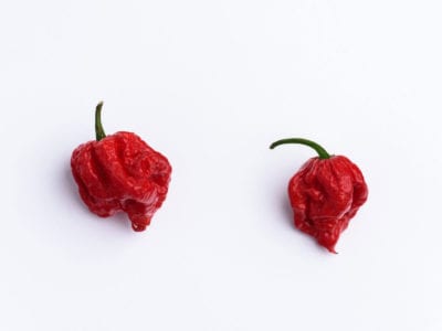 carolina reaper